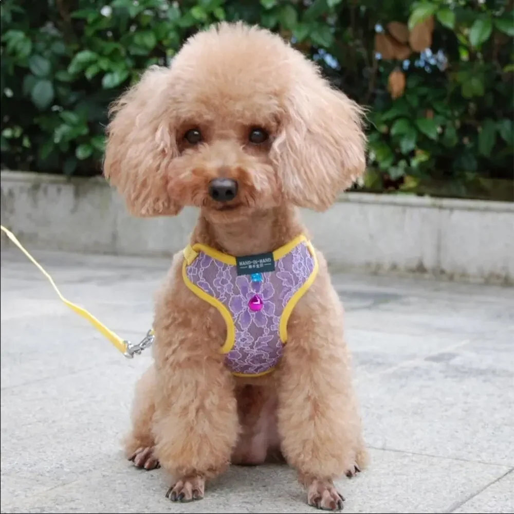 Purple Lace Harness Adjustable with Bell for Small Medium Dog or Cat